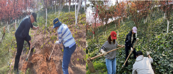 202103191705546180.png 202103191705546180.png