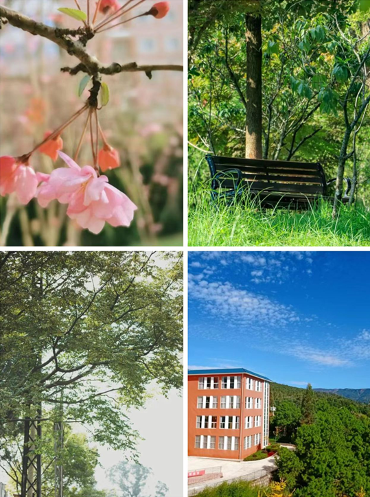 424135a222a44d779747ee34707a6f4a.png 424135a222a44d779747ee34707a6f4a.png