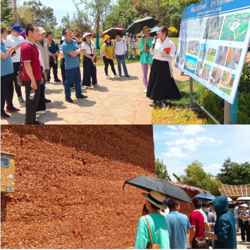 95524eefd2a347ea8b32a5c54d257af3.png 95524eefd2a347ea8b32a5c54d257af3.png