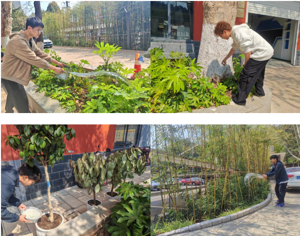 cf3840c676714c9cbe44b6dcb48b9cc0.png cf3840c676714c9cbe44b6dcb48b9cc0.png