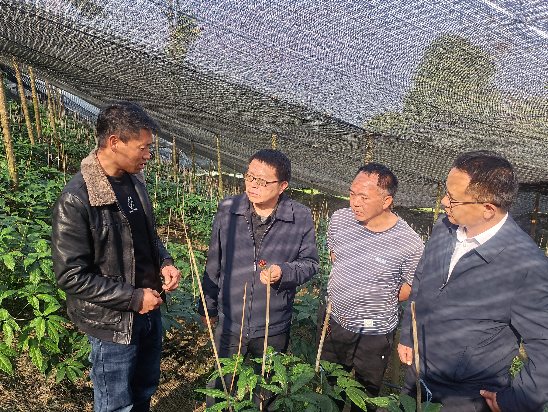 f3d38bfd0f35468a99fa89664331f84b.jpg f3d38bfd0f35468a99fa89664331f84b.jpg