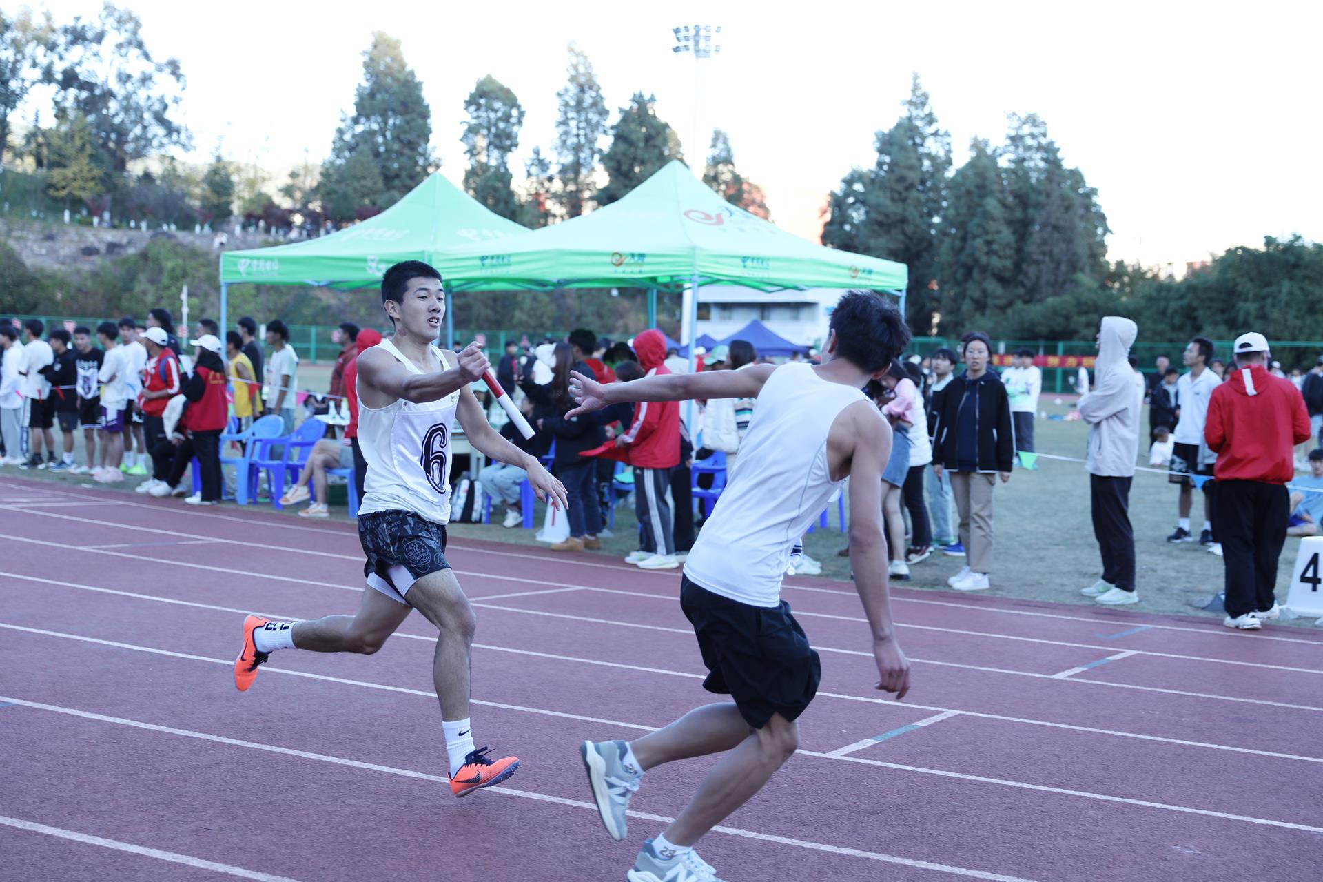 90e14eb4683242ffad7e8b4bd6ae2b96.jpg 90e14eb4683242ffad7e8b4bd6ae2b96.jpg